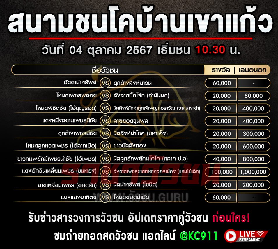 โปรแกรมวัวชน 4-10-2567