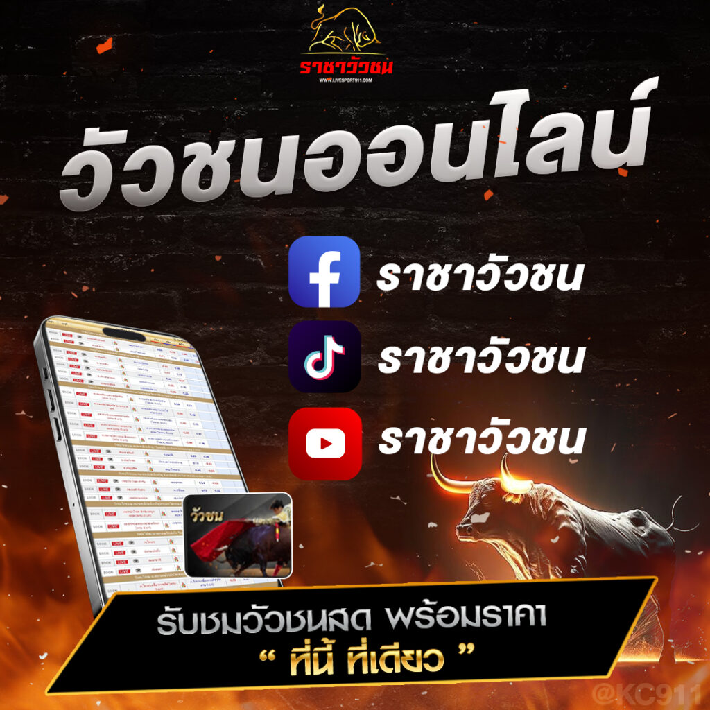 วัวชนออนไลน์ 14-10-2567