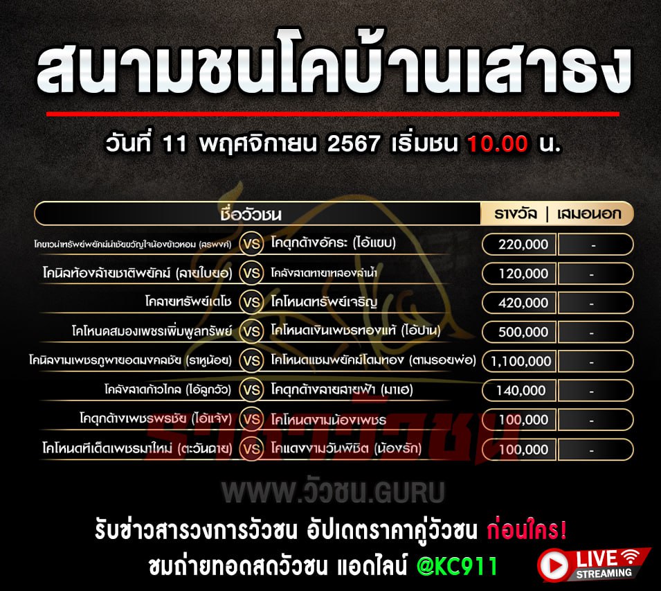 โปรแกรมวัวชน 11-11-2567