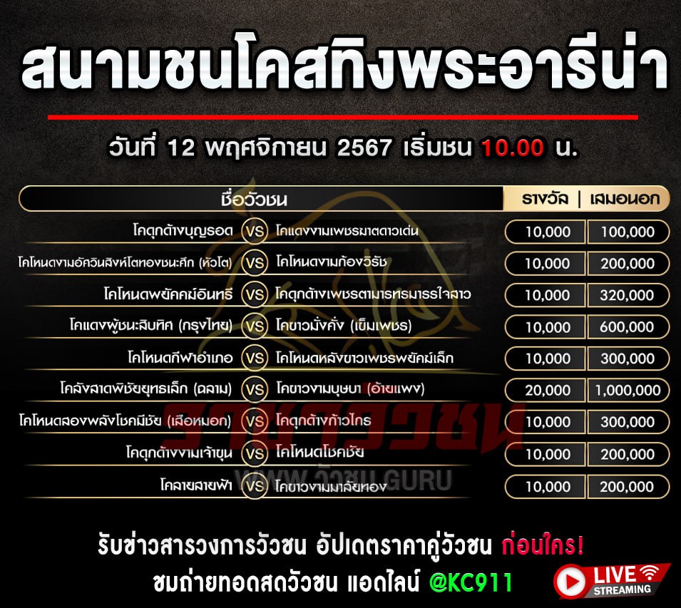 โปรแกรมวัวชน 12-11-2567