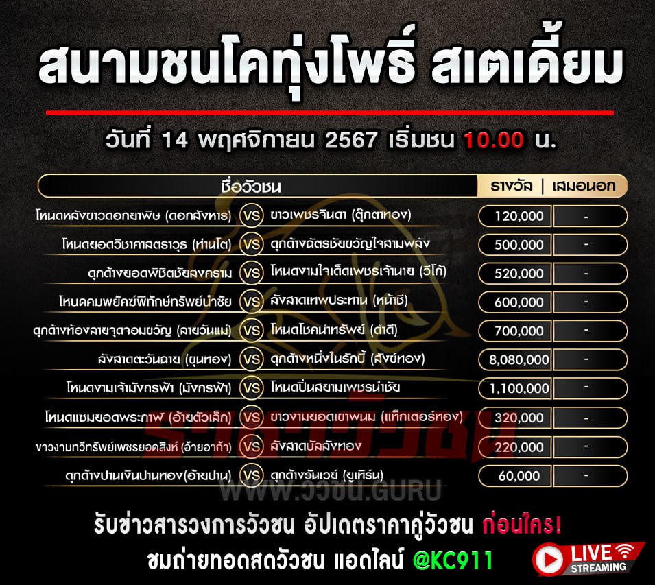 โปรแกรมวัวชน 14-11-2567