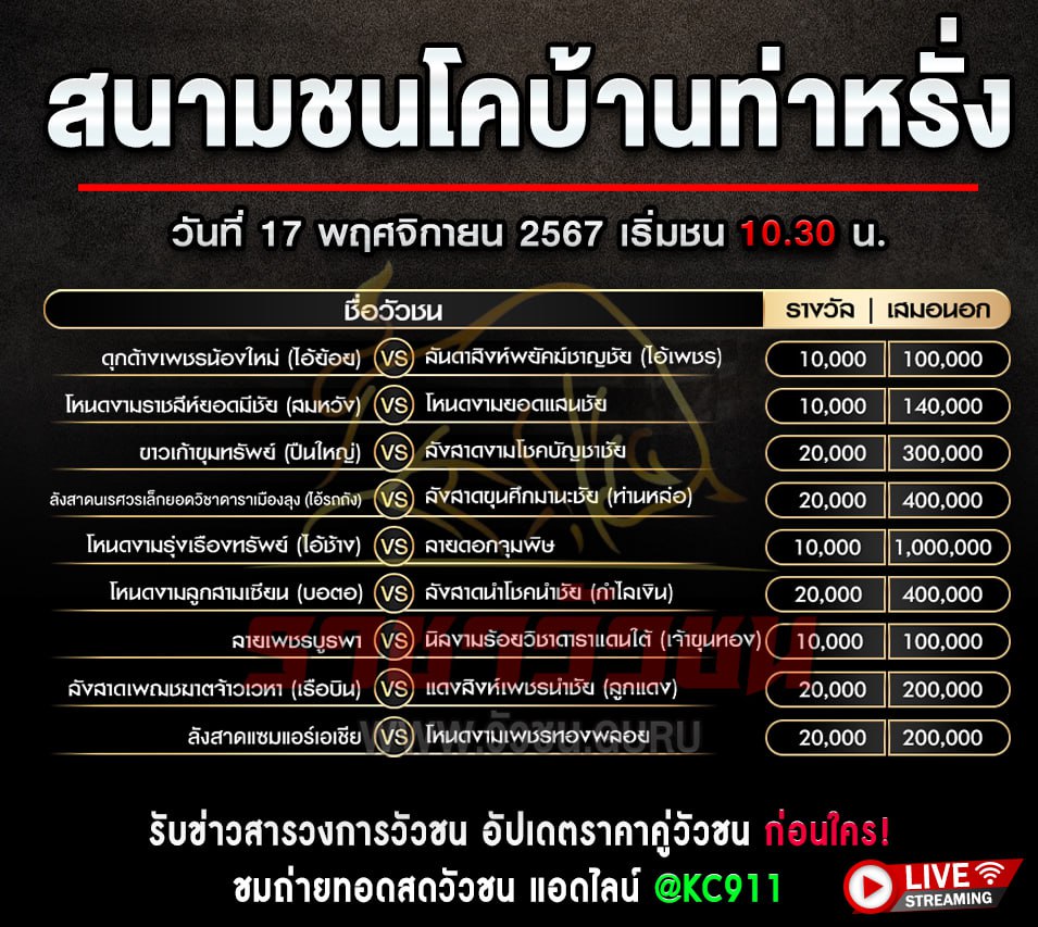 โปรแกรมวัวชน 17-11-2567