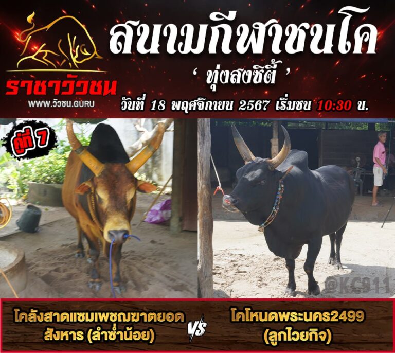 โปรแกรมวัวชน 18-11-2567