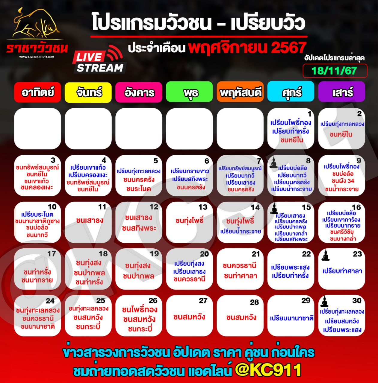 โปรแกรมวัวชน