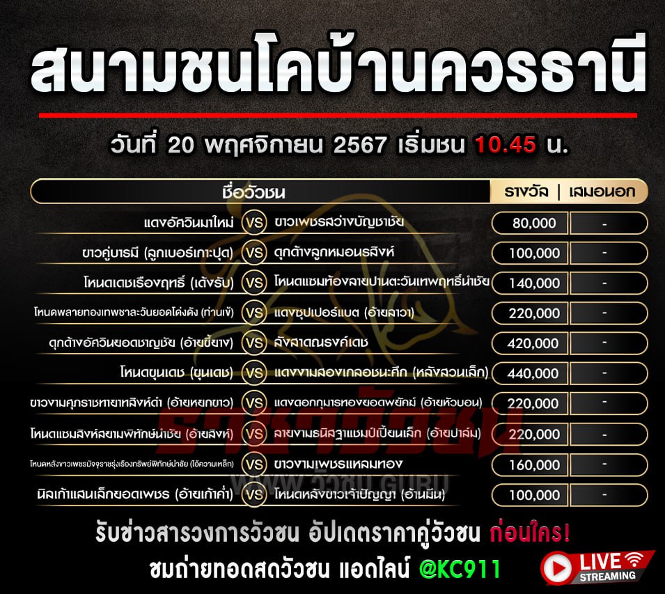 โปรแกรมวัวชน 20-11-2567