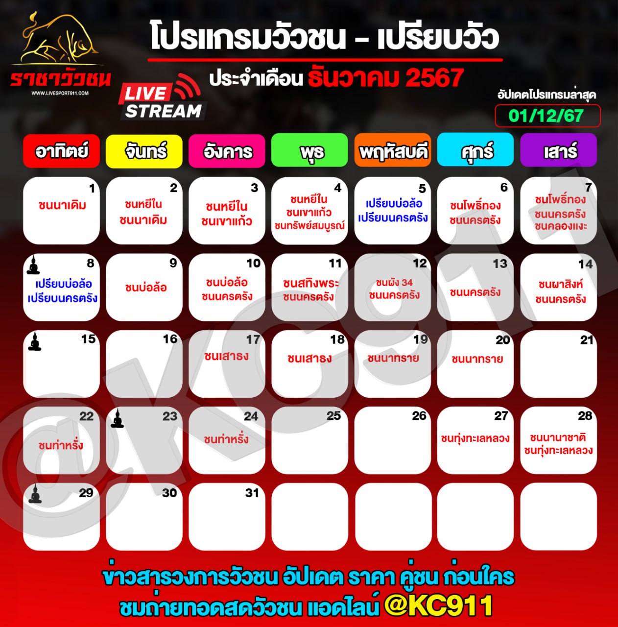 โปรแกรมวัวชน