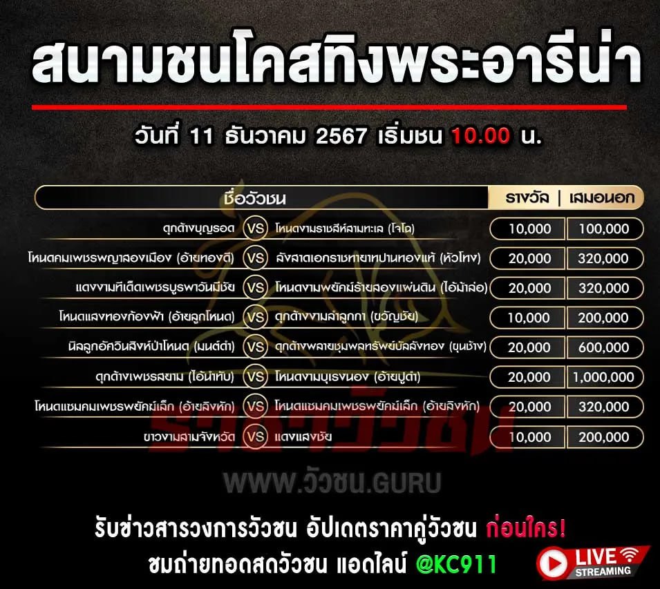 โปรแกรมวัวชน 11-12-2567