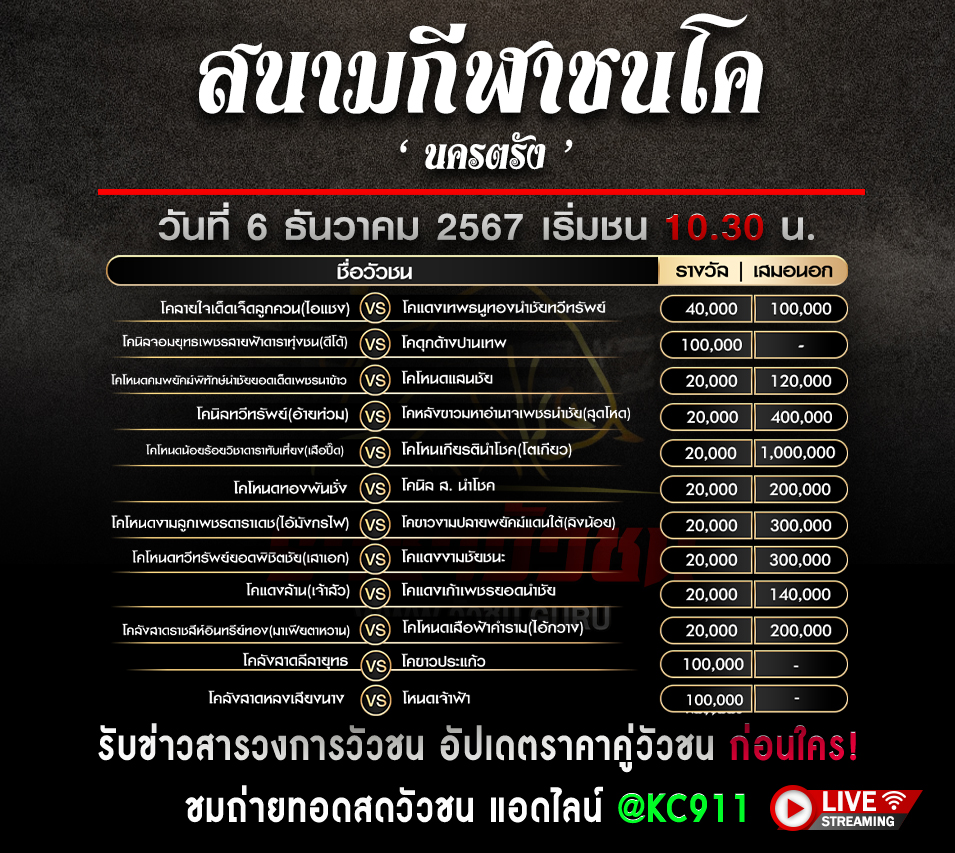 โปรแกรมวัวชน 6-12-2567